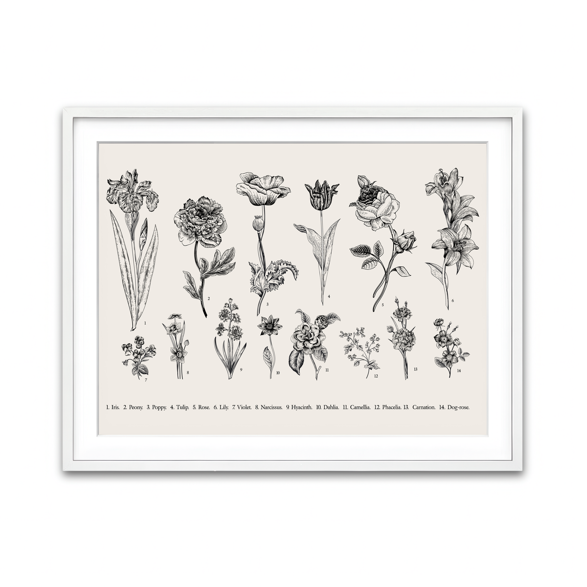 Framed Print 4x3 White