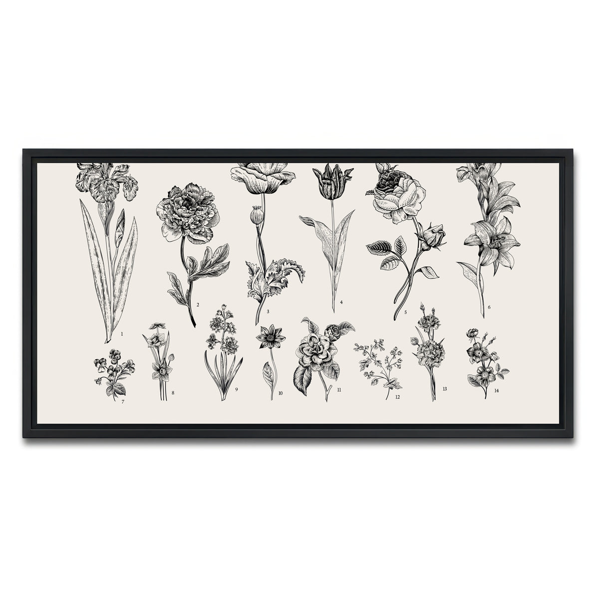 AUTO-MOCKUP WHITE | Botany Set Vintage Flowers | 1 Piece | Black Framed Canvas | group=2x1