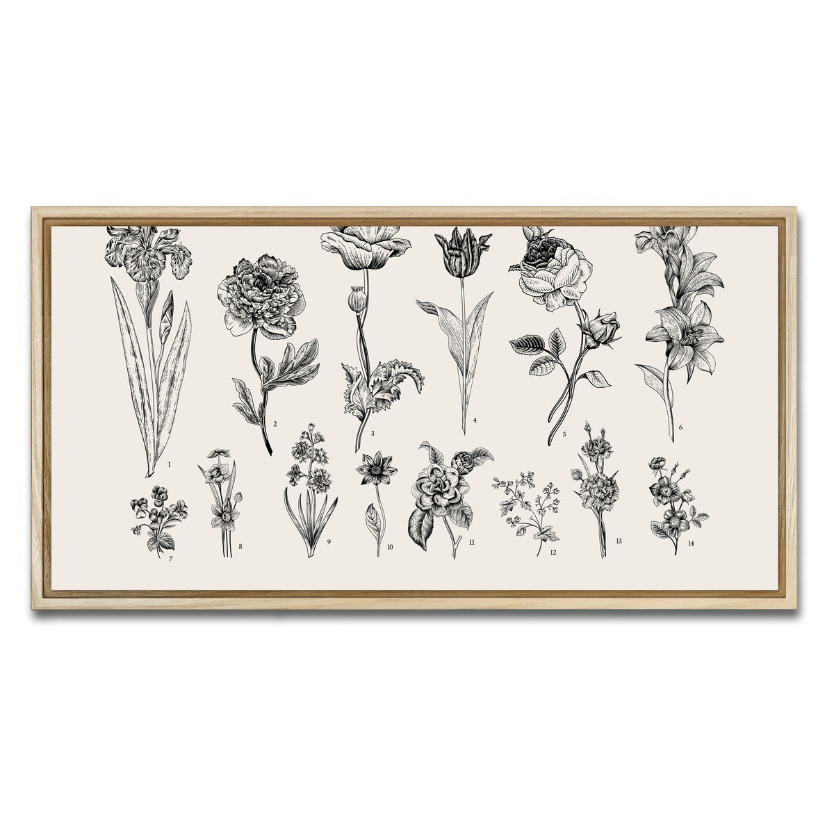 AUTO-MOCKUP WHITE | Botany Set Vintage Flowers | 1 Piece | Natural Framed Canvas | group=2x1