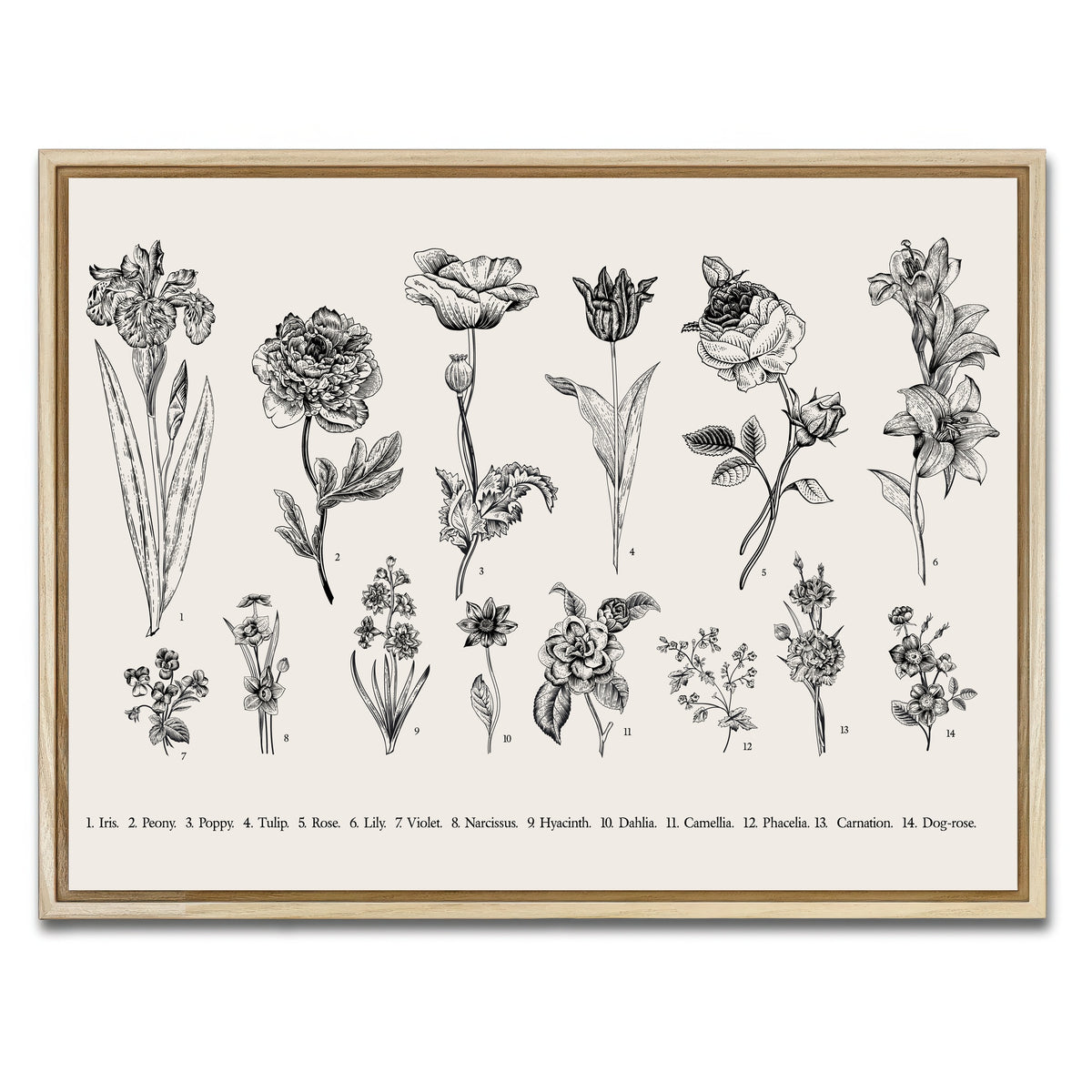 AUTO-MOCKUP WHITE | Botany Set Vintage Flowers | 1 Piece | Natural Framed Canvas | group=4x3