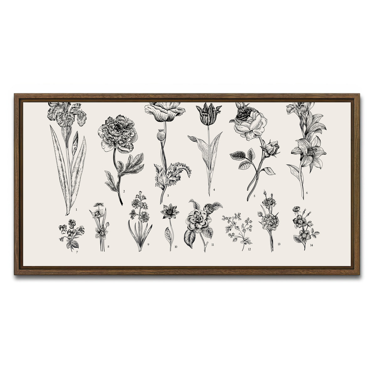 AUTO-MOCKUP WHITE | Botany Set Vintage Flowers | 1 Piece | Walnut Framed Canvas | group=2x1