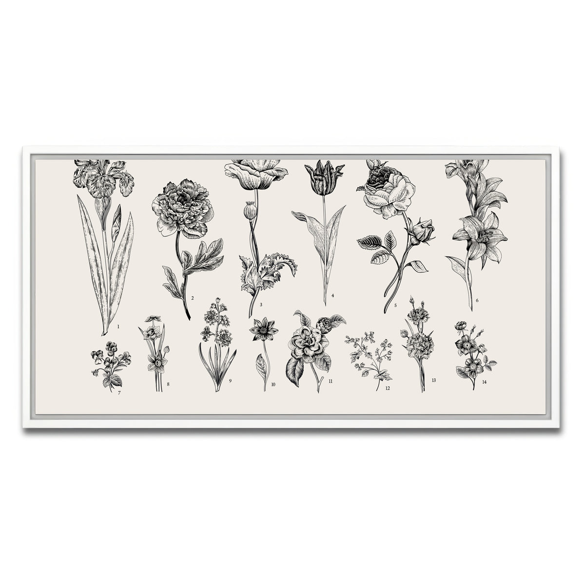 AUTO-MOCKUP WHITE | Botany Set Vintage Flowers | 1 Piece | White Framed Canvas | group=2x1