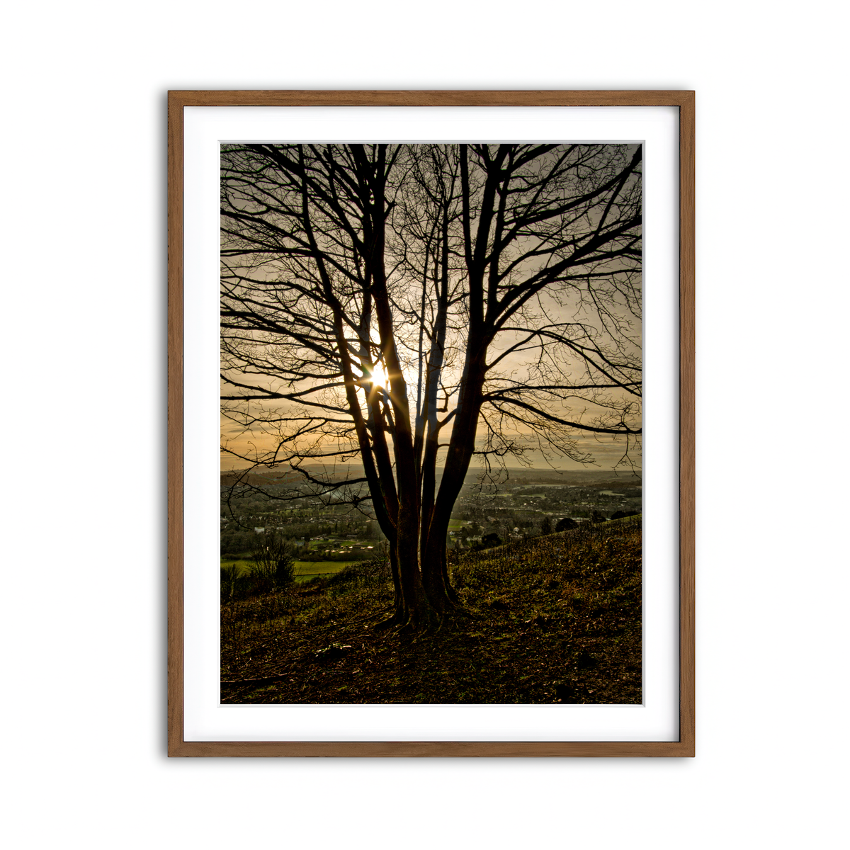 Framed Print 3x4 Walnut