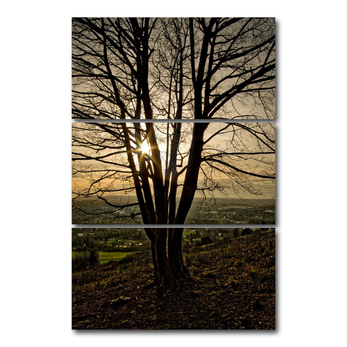 AUTO-MOCKUP WHITE | Box Hill Sunset | 3 Piece | Gallery Wrap Canvas | group=12x24_stacked