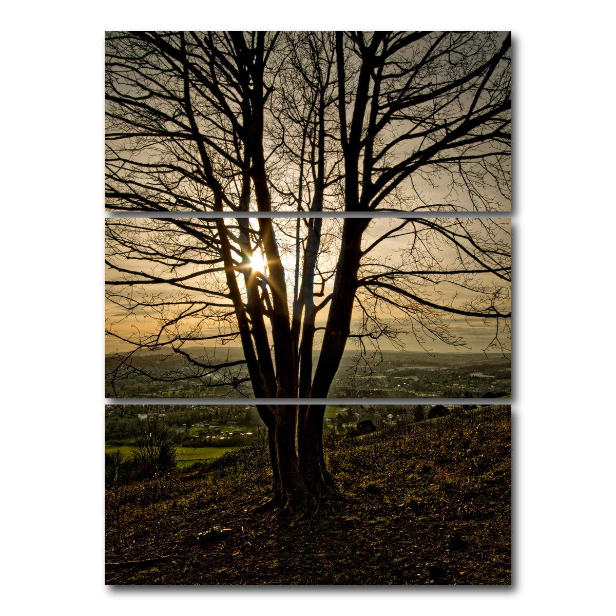 AUTO-MOCKUP WHITE | Box Hill Sunset | 3 Piece | Gallery Wrap Canvas | group=8x18_stacked
