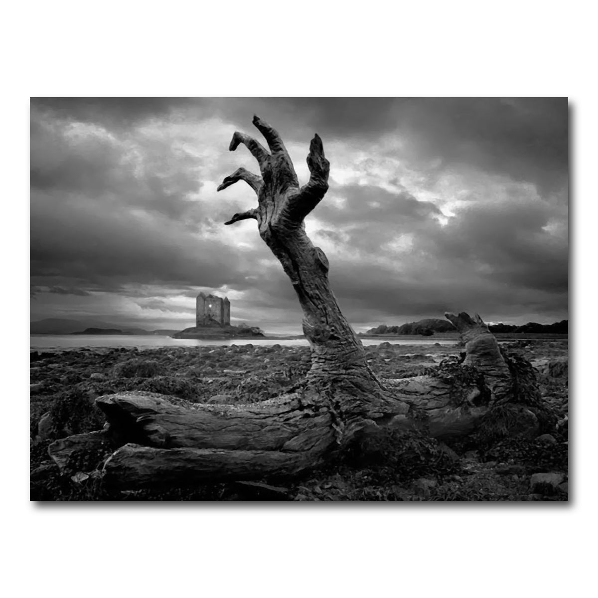 AUTO-MOCKUP WHITE | Branch Hand | 1 Piece | Gallery Wrap Canvas | group=4x3