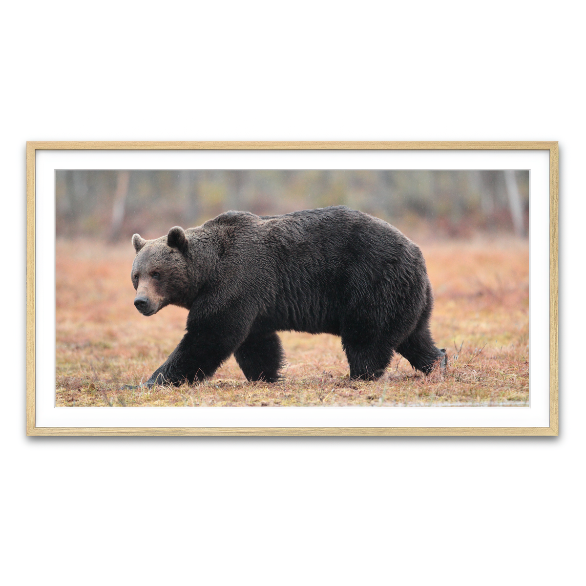 Framed Print 2x1 Natural