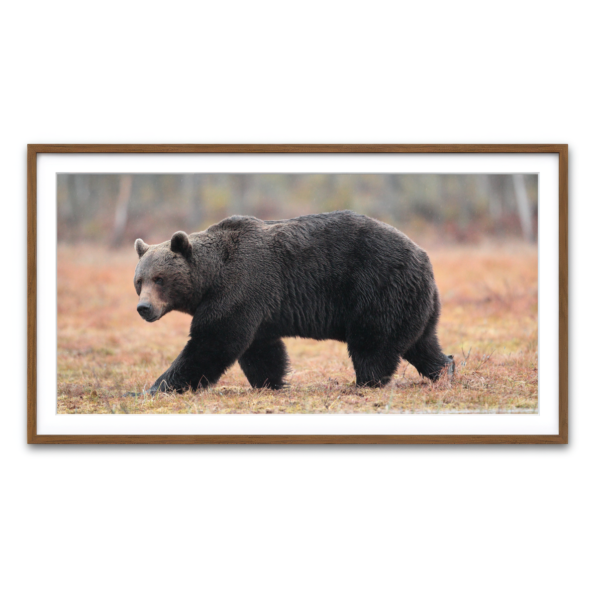 Framed Print 2x1 Walnut