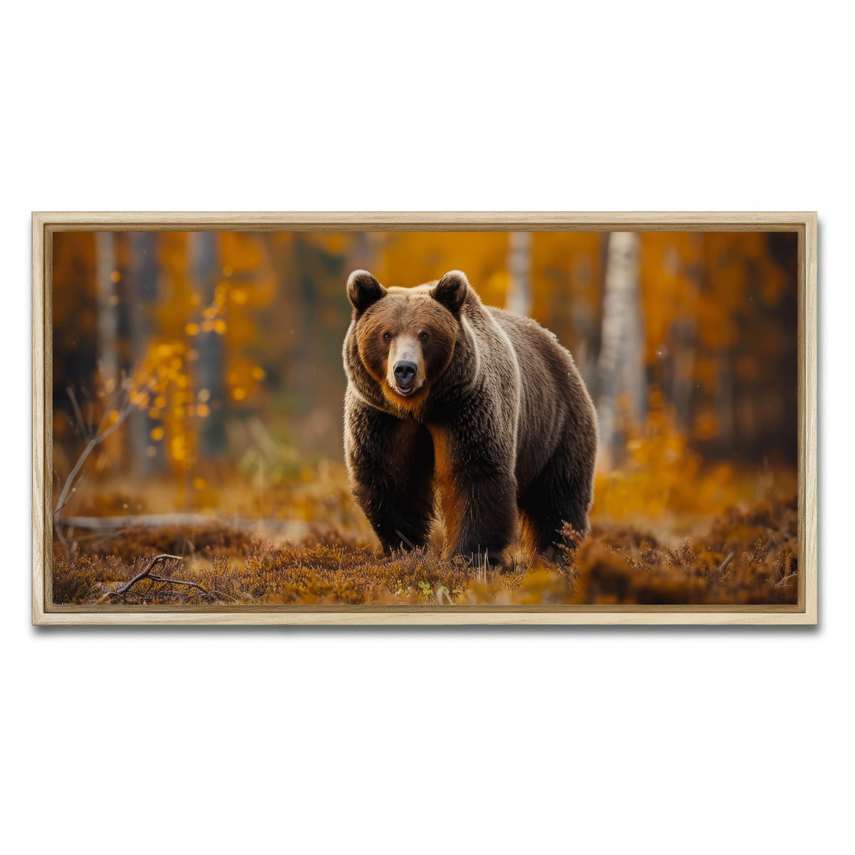 AUTO-MOCKUP WHITE | Brown Bear in Autumn Forest | 1 Piece | Natural Framed Canvas | group=2x1