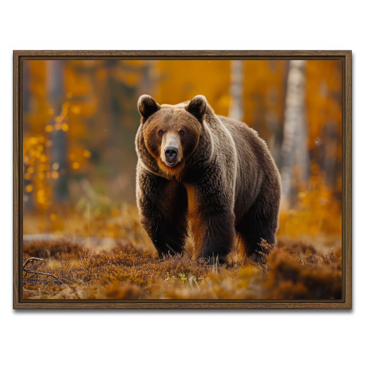 AUTO-MOCKUP WHITE | Brown Bear in Autumn Forest | 1 Piece | Walnut Framed Canvas | group=4x3