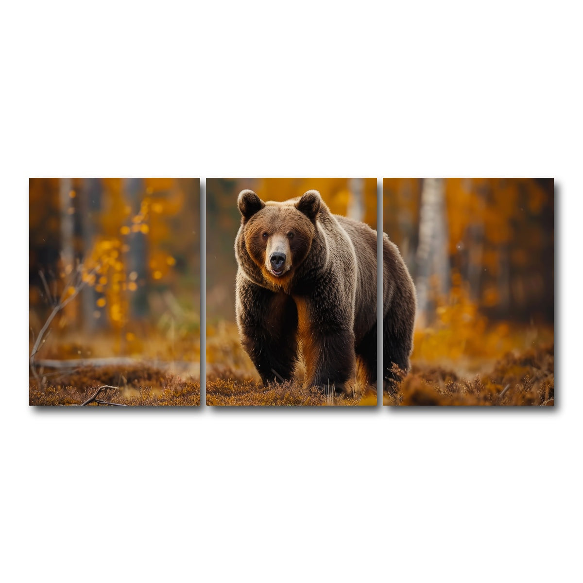 AUTO-MOCKUP WHITE | Brown Bear in Autumn Forest | 3 Piece | Gallery Wrap Canvas | group=18x24