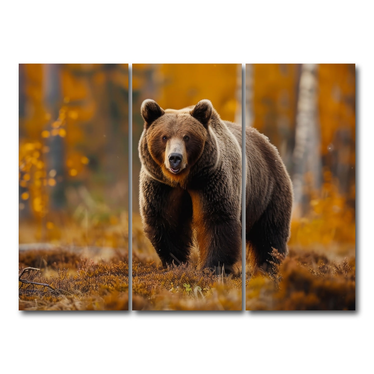 AUTO-MOCKUP WHITE | Brown Bear in Autumn Forest | 3 Piece | Gallery Wrap Canvas | group=8x18