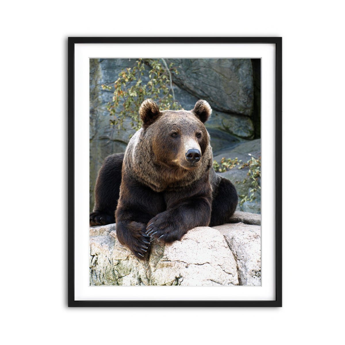 Framed Print 3x4 Black