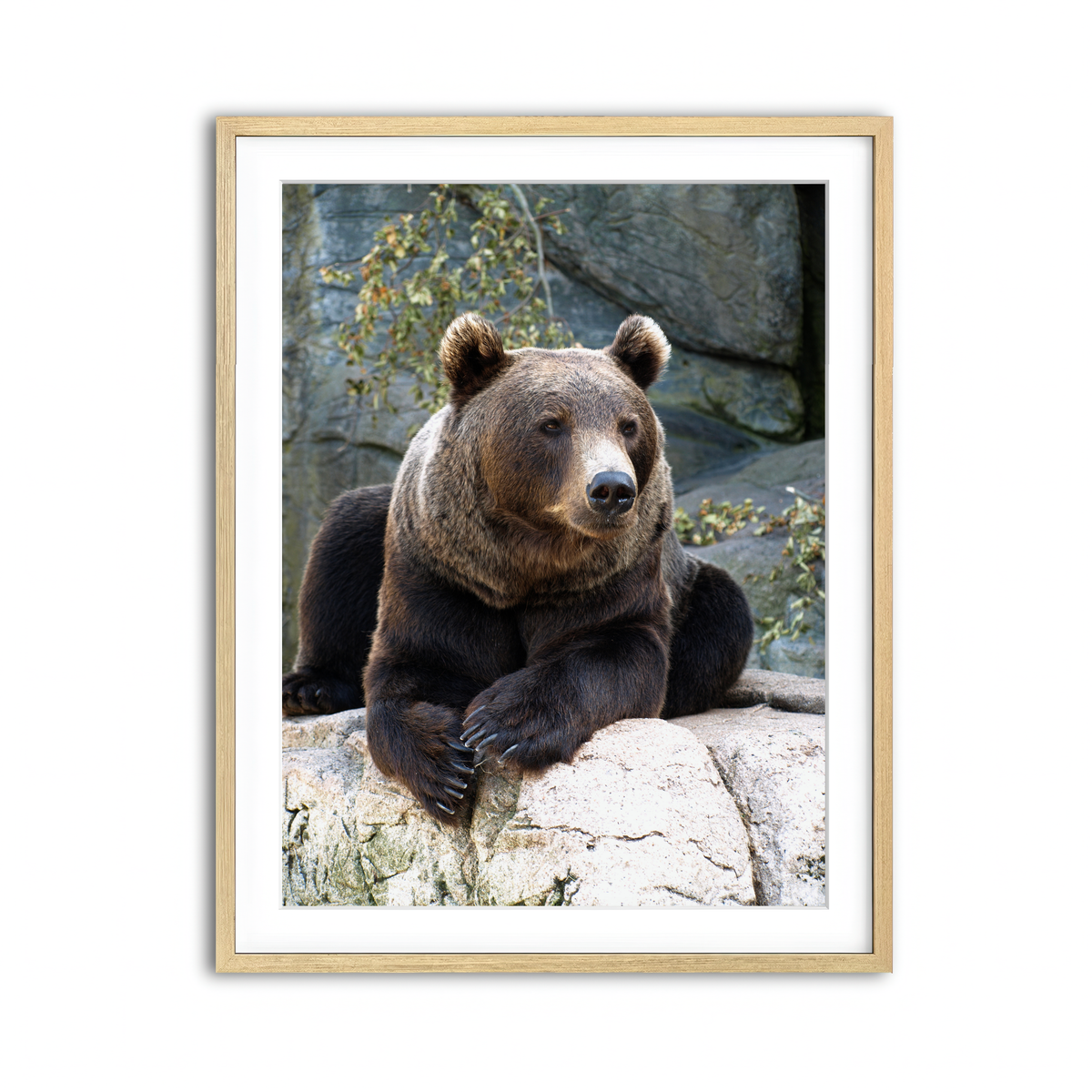 Framed Print 3x4 Natural