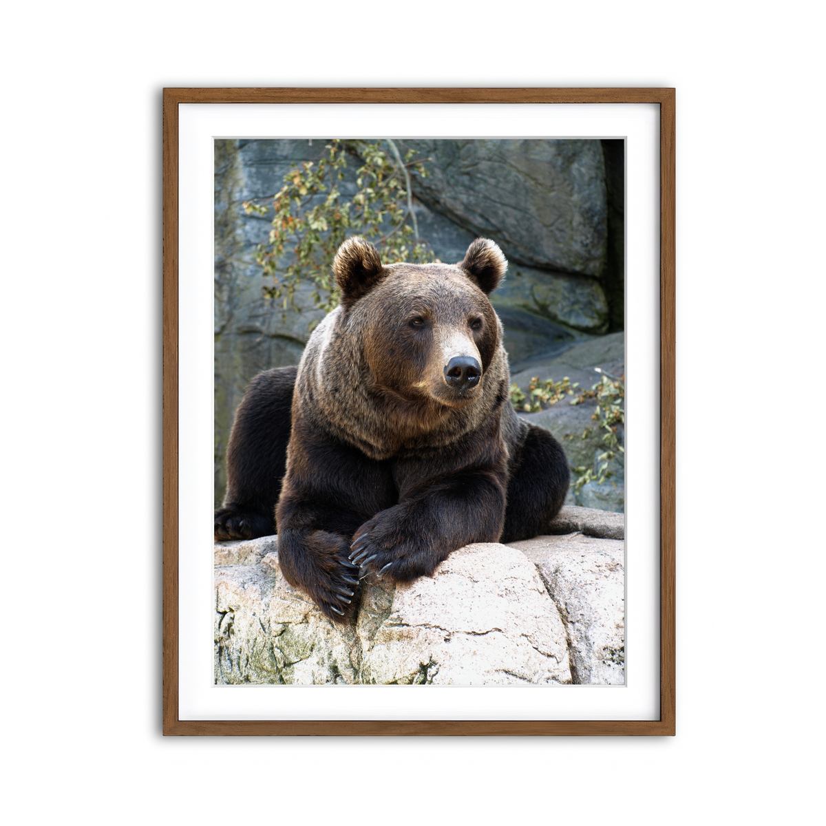 Framed Print 3x4 Walnut