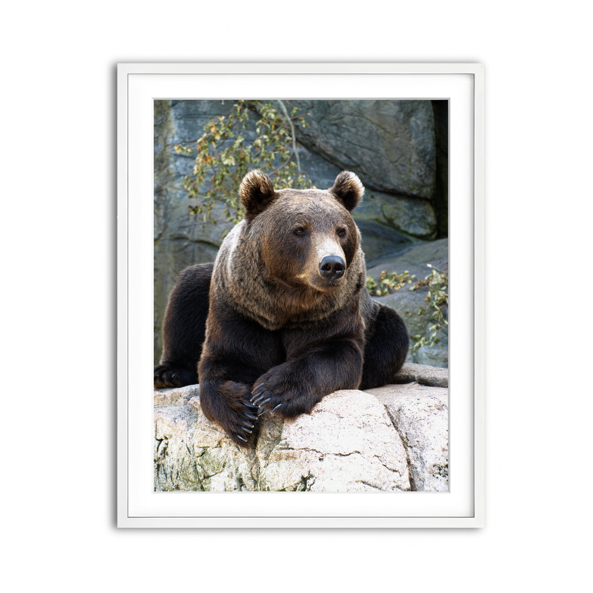 Framed Print 3x4 White