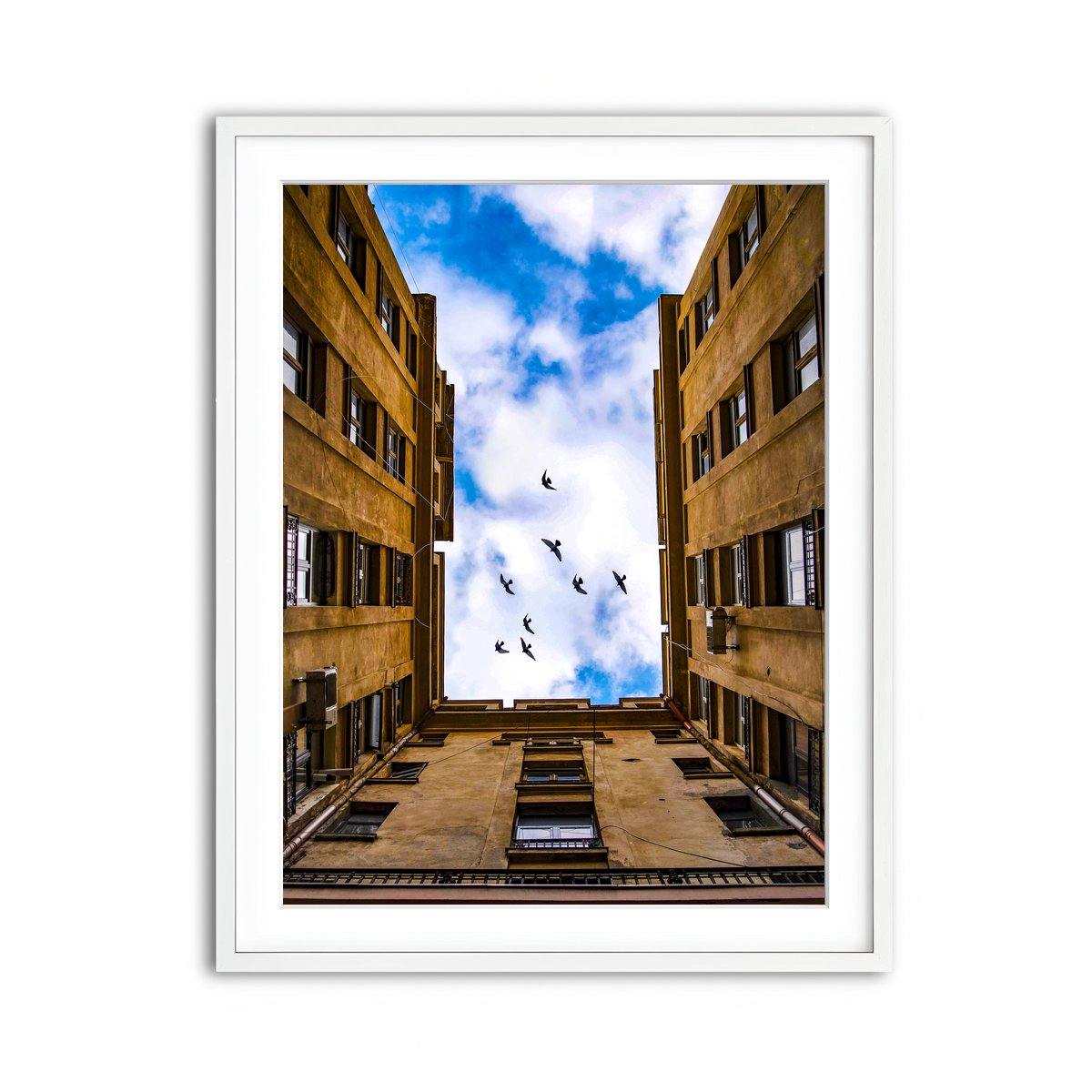 Framed Print 3x4 White