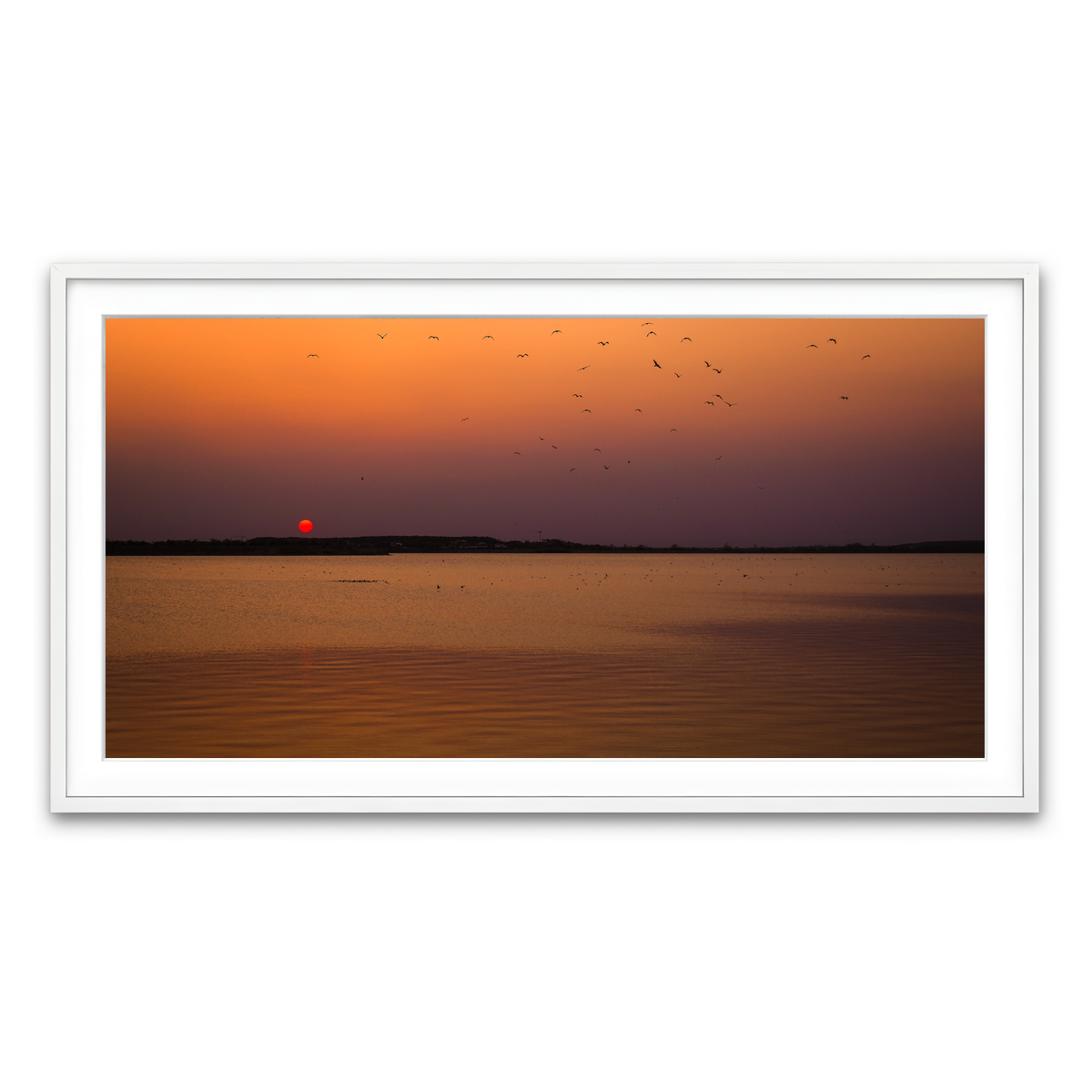 Framed Print 2x1 White