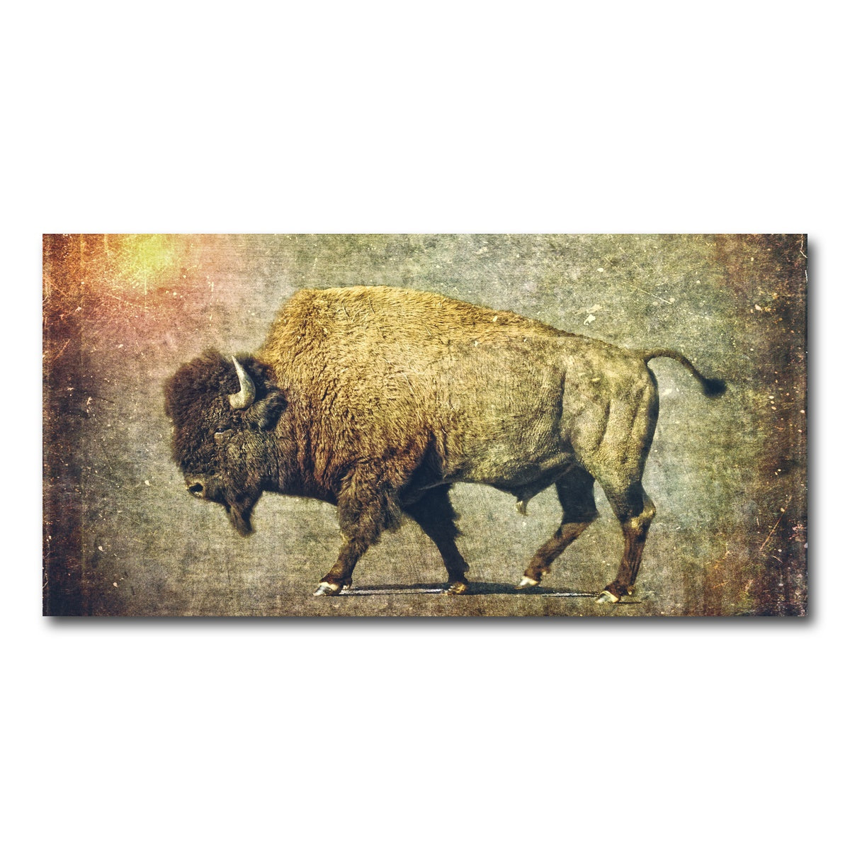 AUTO-MOCKUP WHITE | Buffalo Art | 1 Piece | Gallery Wrap Canvas | group=2x1