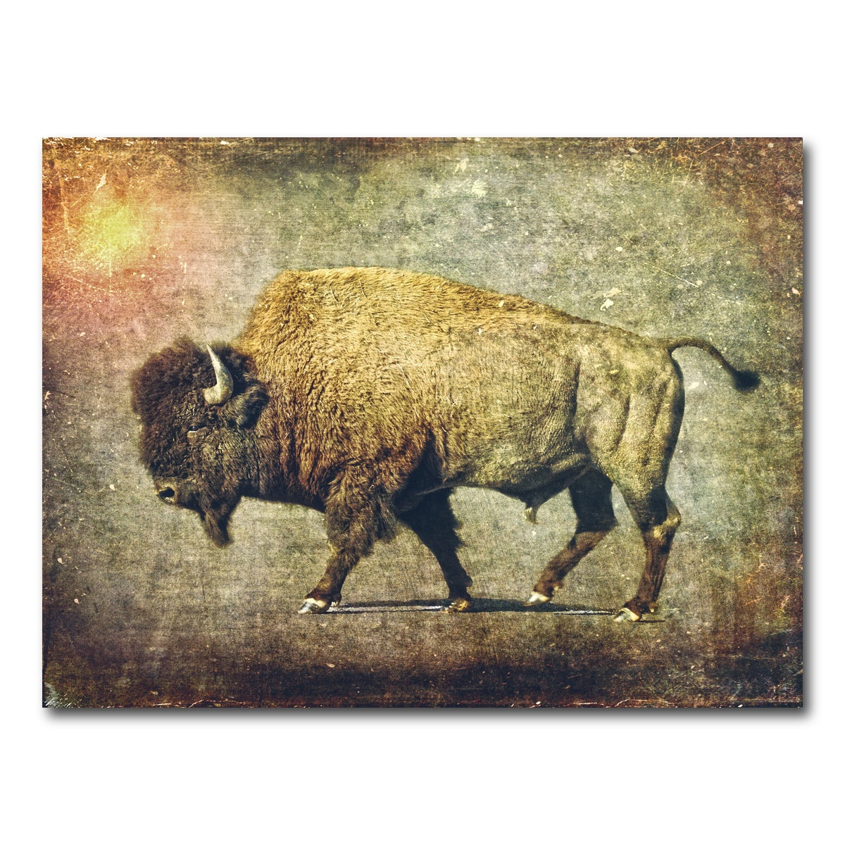 AUTO-MOCKUP WHITE | Buffalo Art | 1 Piece | Gallery Wrap Canvas | group=4x3