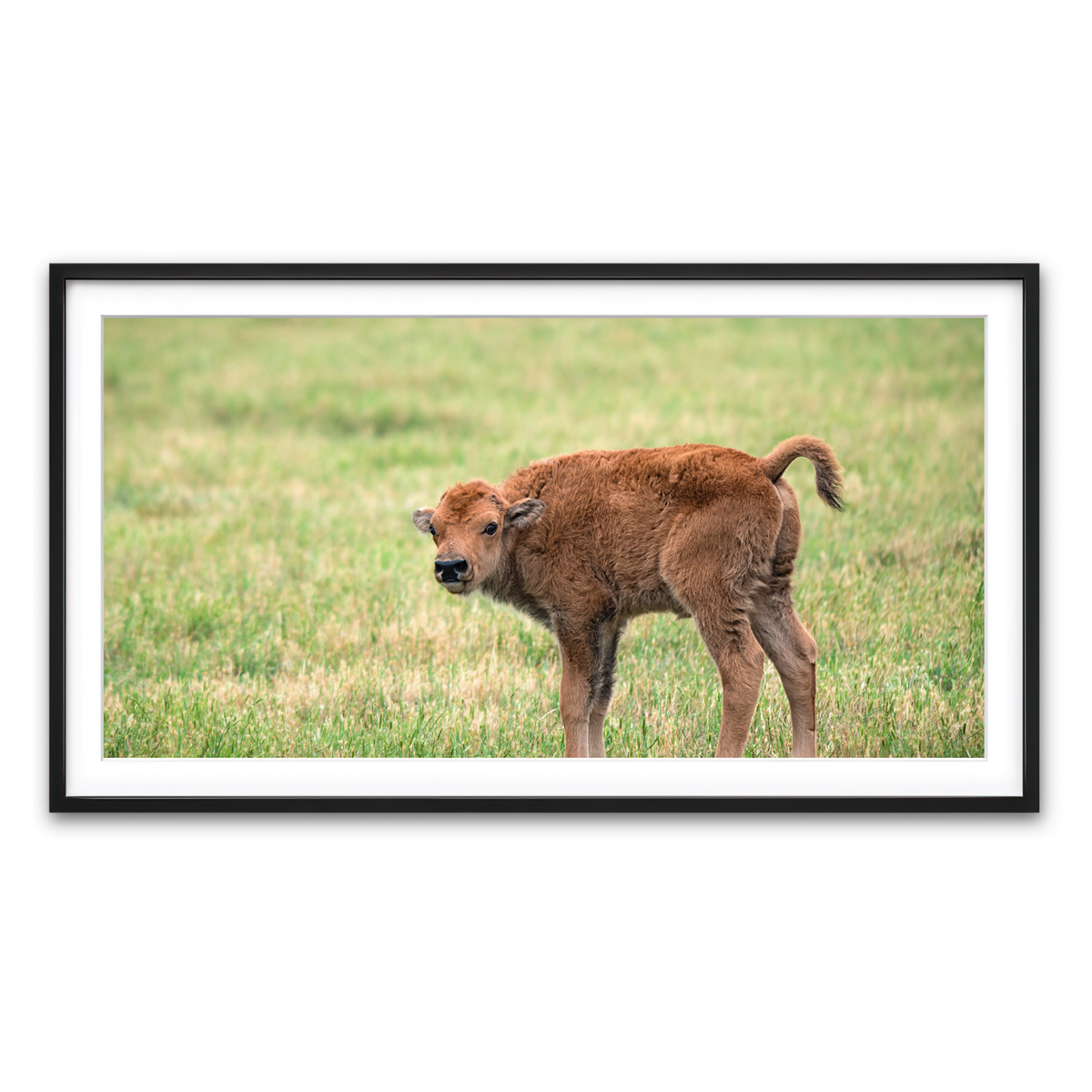 Framed Print 2x1 Black