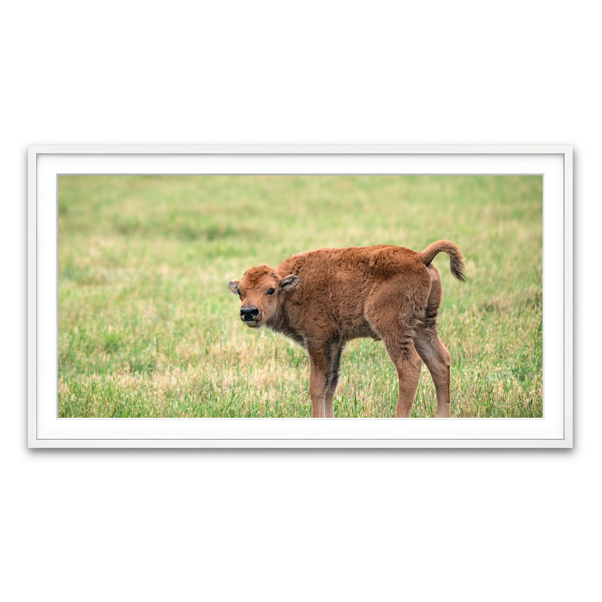 Framed Print 2x1 White