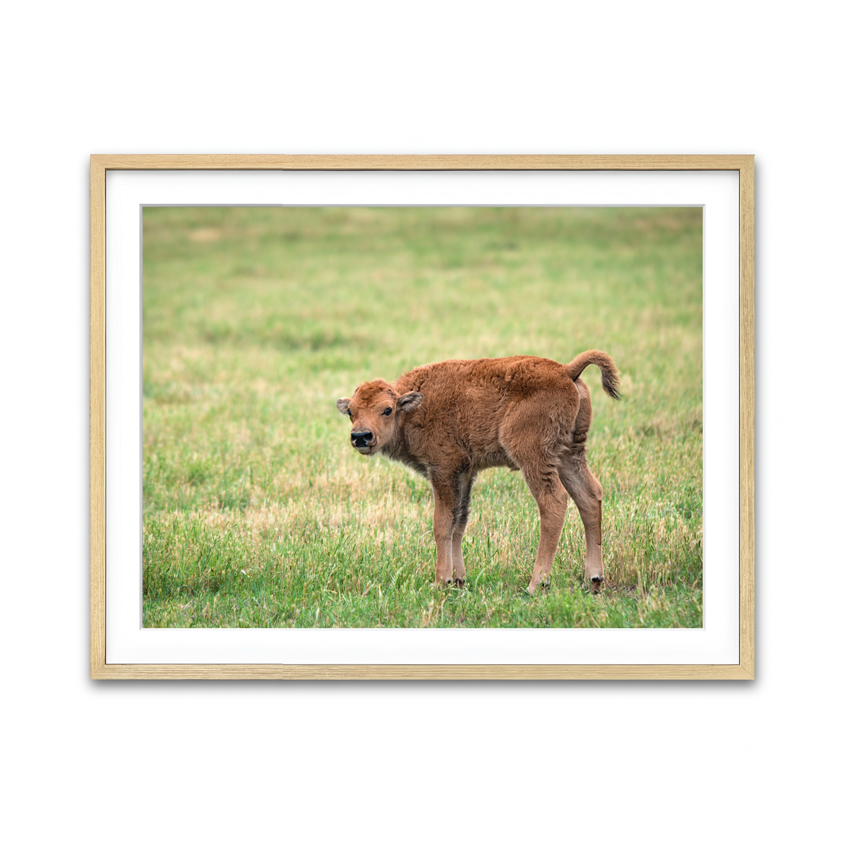 Framed Print 4x3 Natural