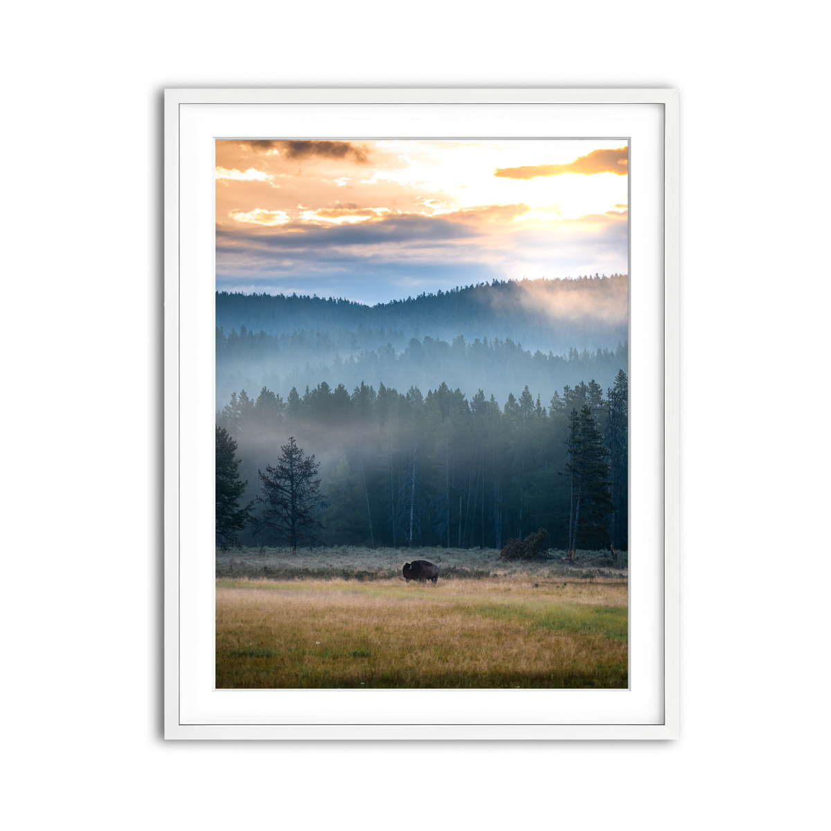 Framed Print 3x4 White