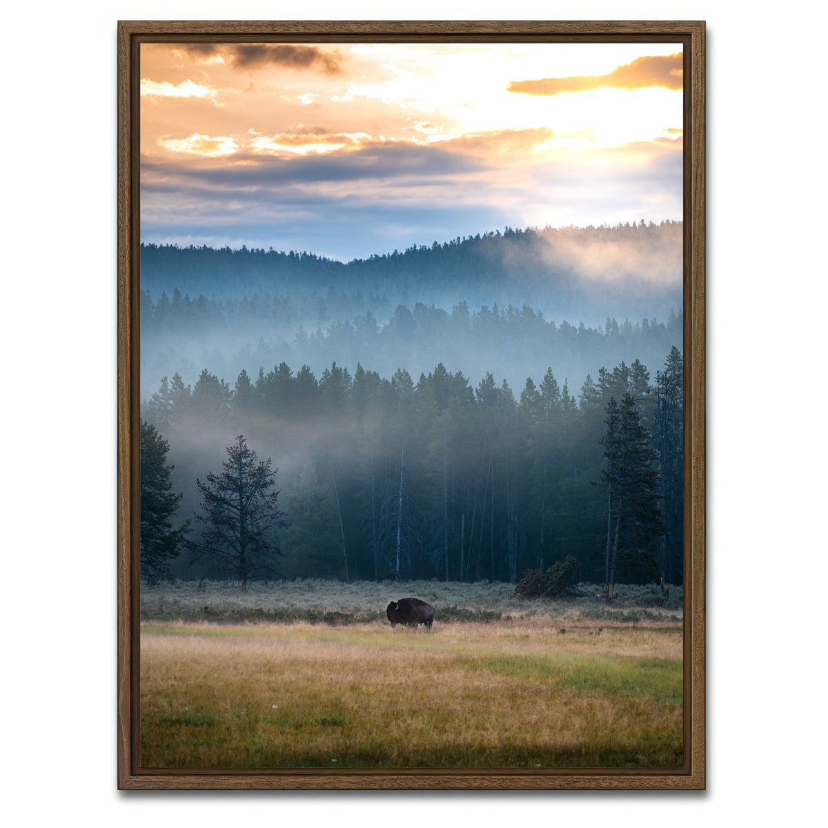 AUTO-MOCKUP WHITE | Buffalo Sunrise | 1 Piece | Walnut Framed Canvas | group=3x4