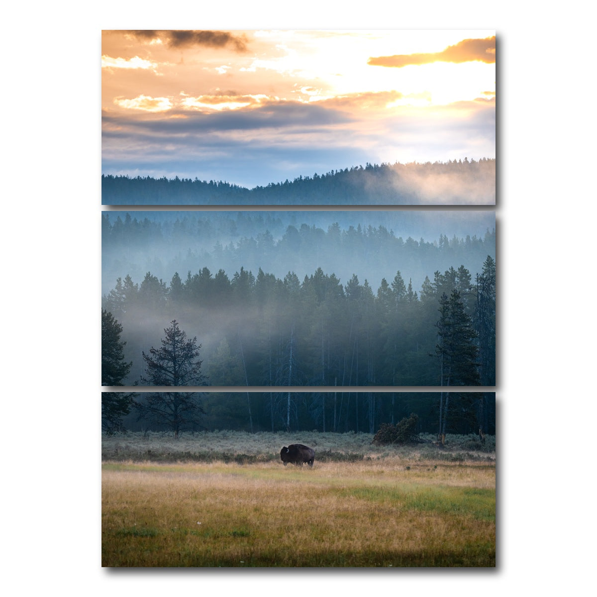 AUTO-MOCKUP WHITE | Buffalo Sunrise | 3 Piece | Gallery Wrap Canvas | group=8x18_stacked