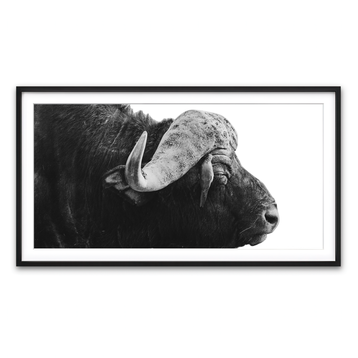 Framed Print 2x1 Black