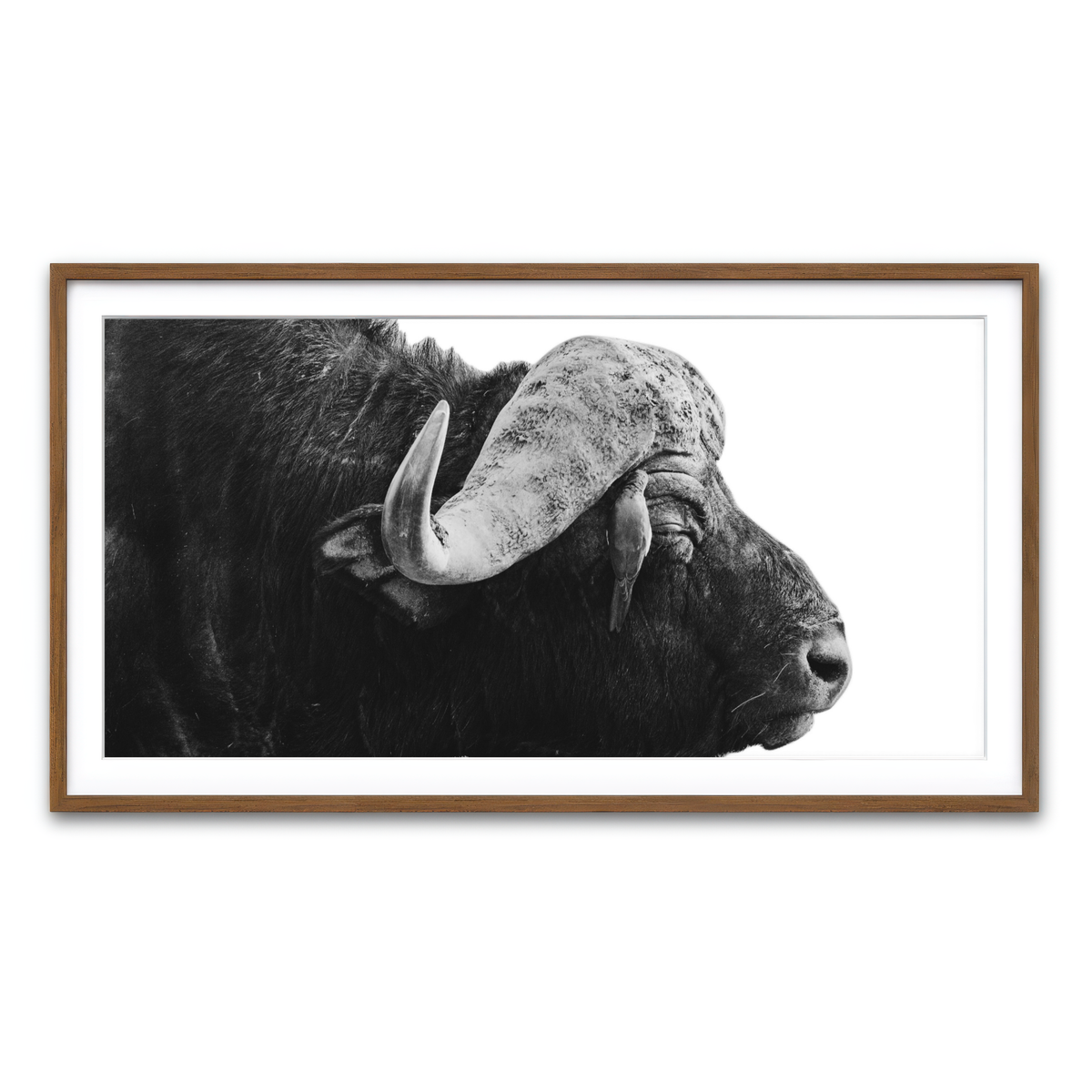 Framed Print 2x1 Walnut