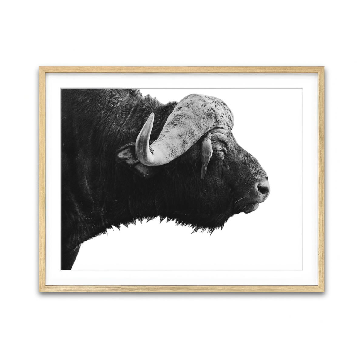 Framed Print 4x3 Natural