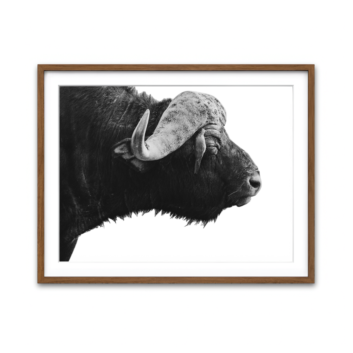 Framed Print 4x3 Walnut