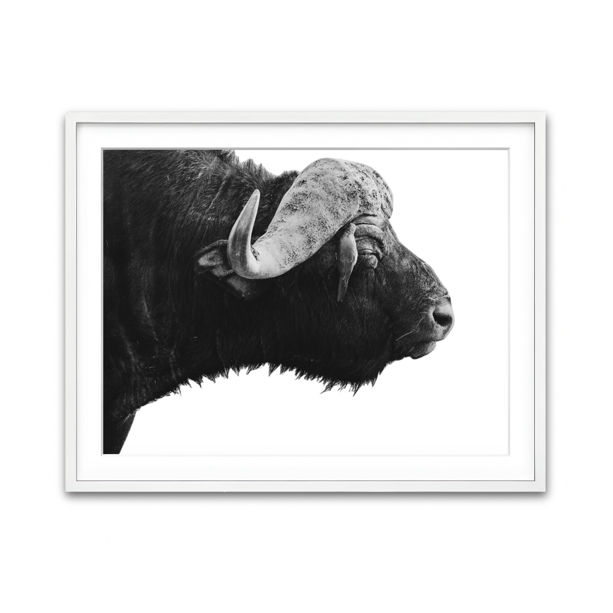 Framed Print 4x3 White