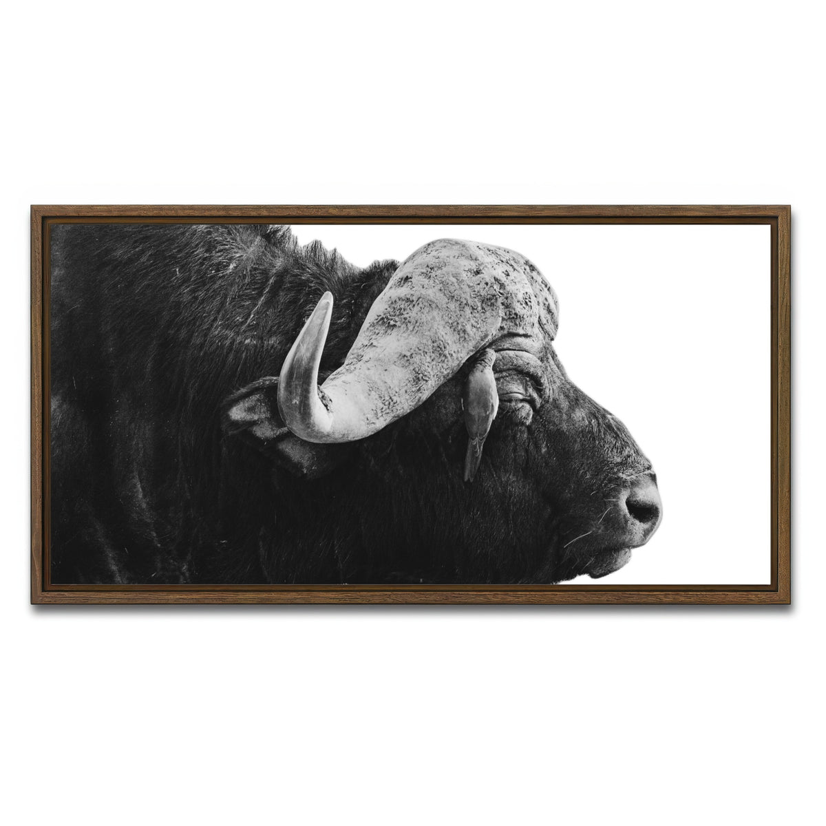AUTO-MOCKUP WHITE | Buffalo | 1 Piece | Walnut Framed Canvas | group=2x1