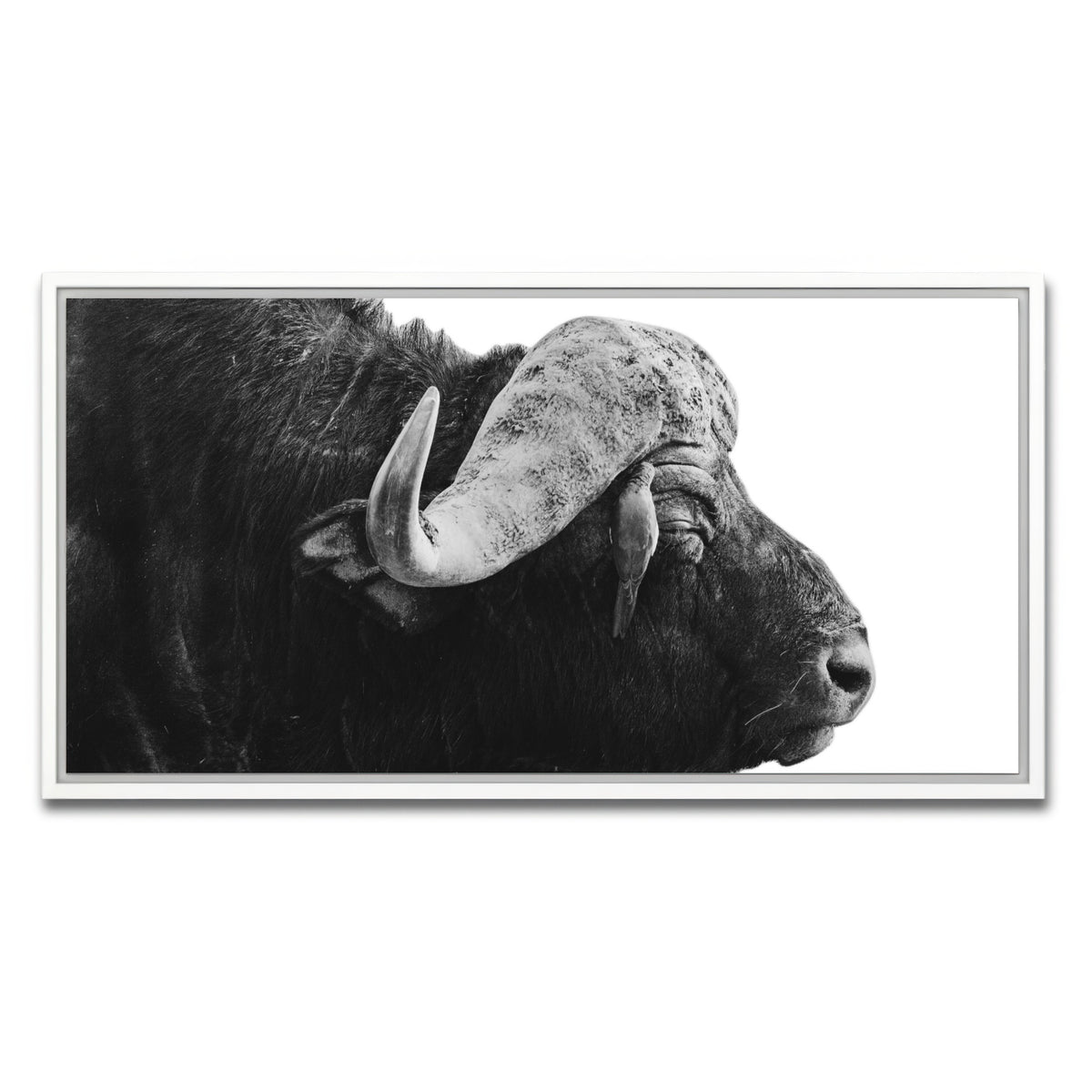 AUTO-MOCKUP WHITE | Buffalo | 1 Piece | White Framed Canvas | group=2x1