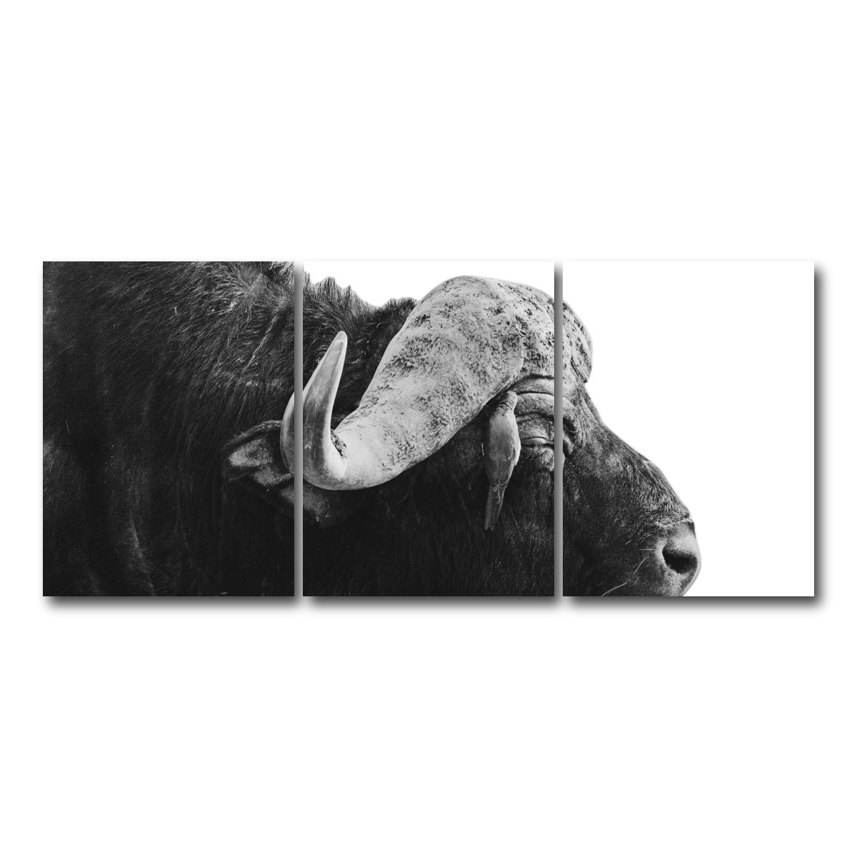 AUTO-MOCKUP WHITE | Buffalo | 3 Piece | Gallery Wrap Canvas | group=18x24