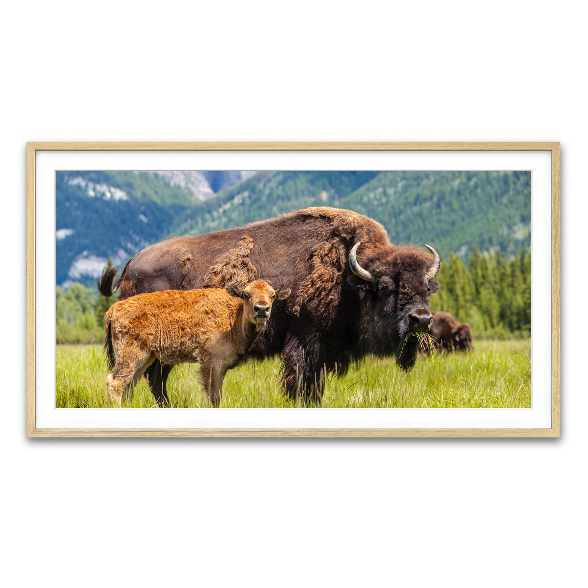 Framed Print 2x1 Natural