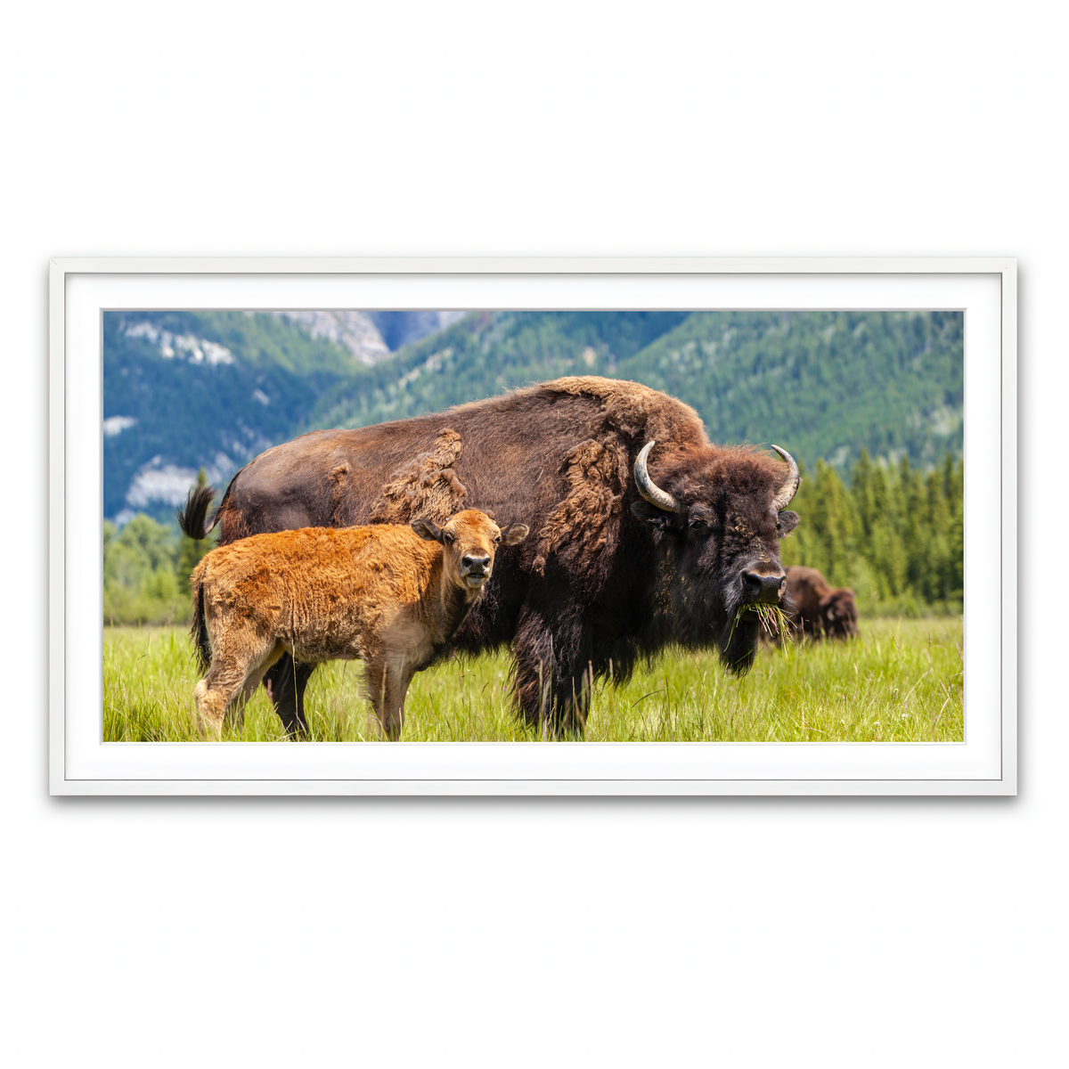 Framed Print 2x1 White