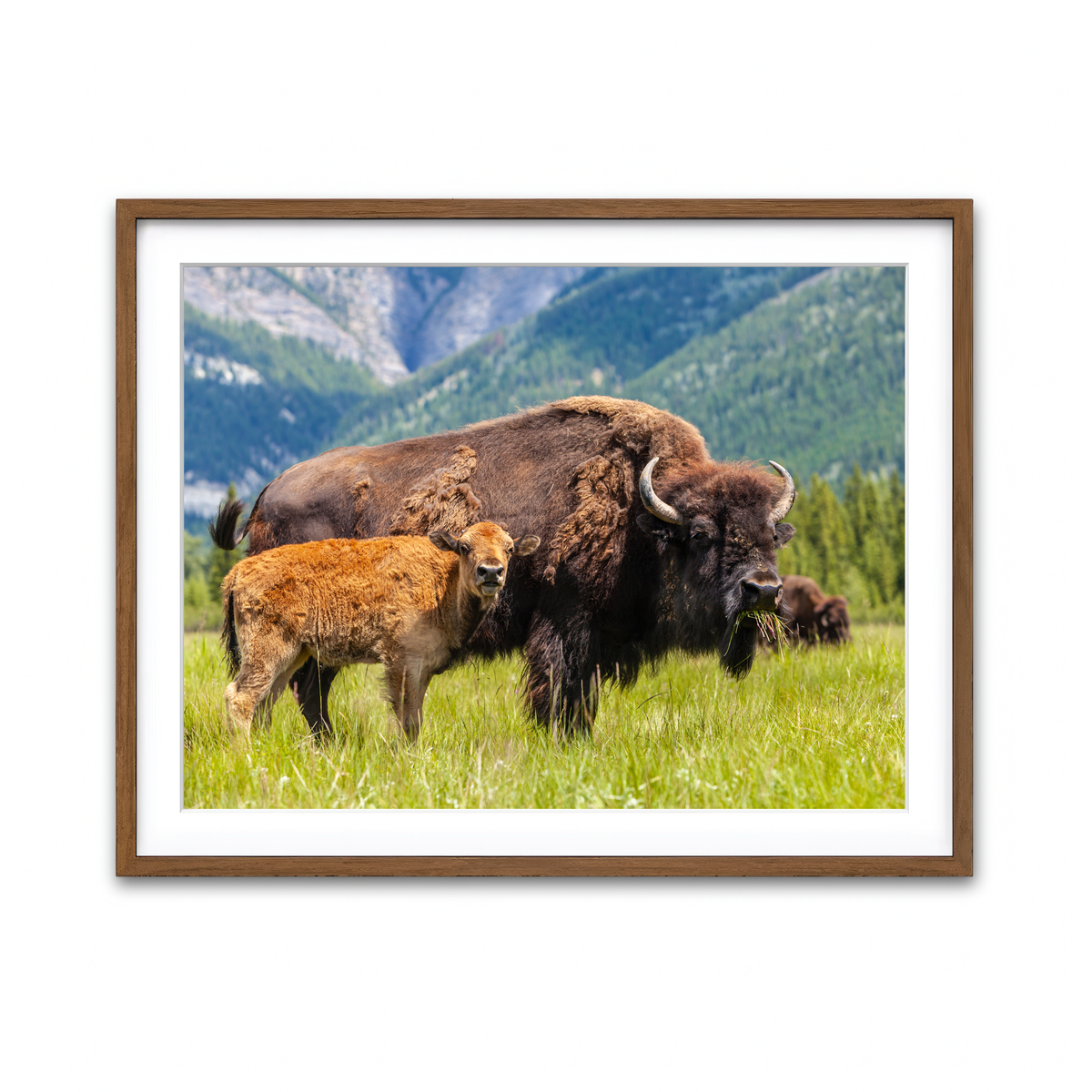 Framed Print 4x3 Walnut