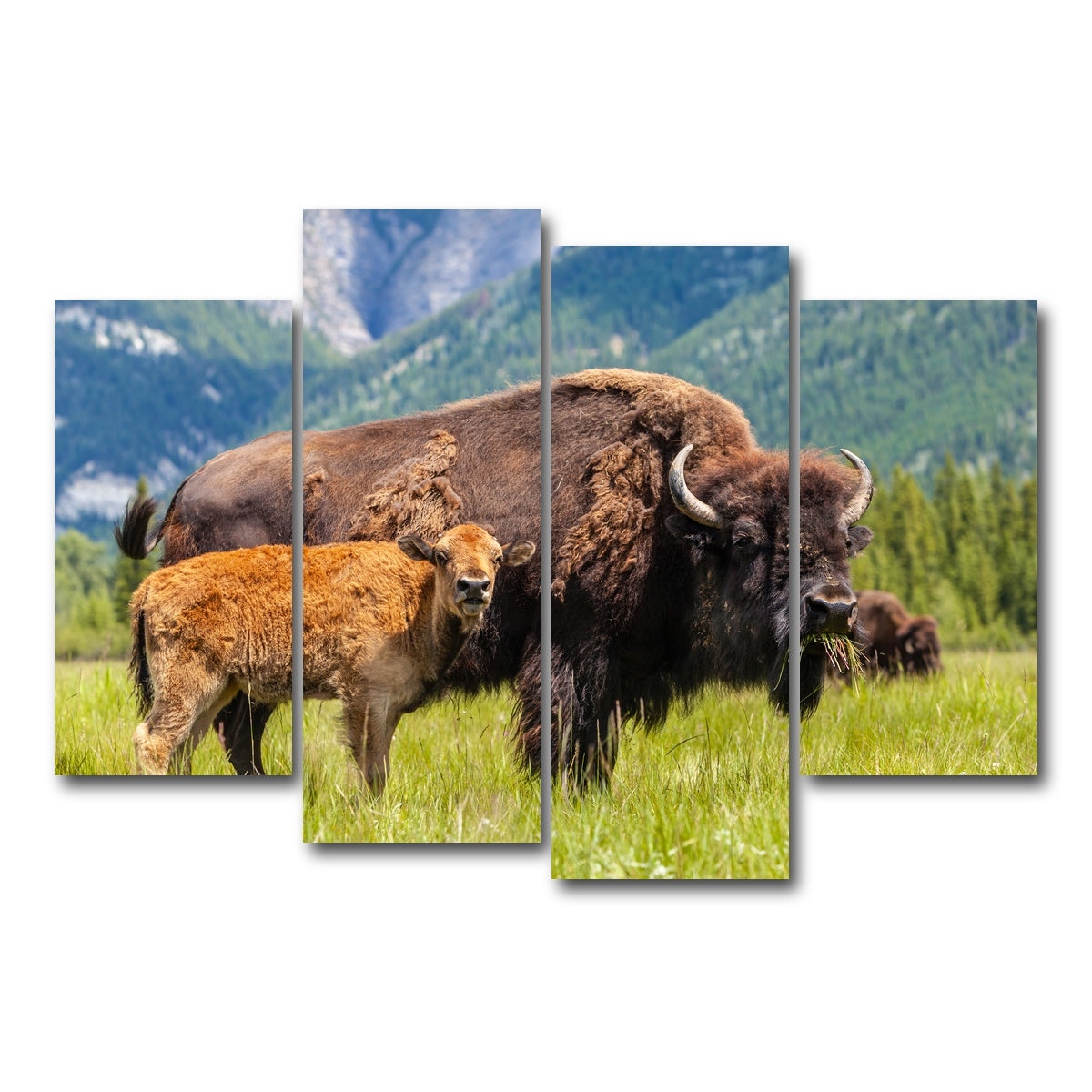 AUTO-MOCKUP WHITE | Buffalo with calf | 4 Piece | Gallery Wrap Canvas | group=4_short