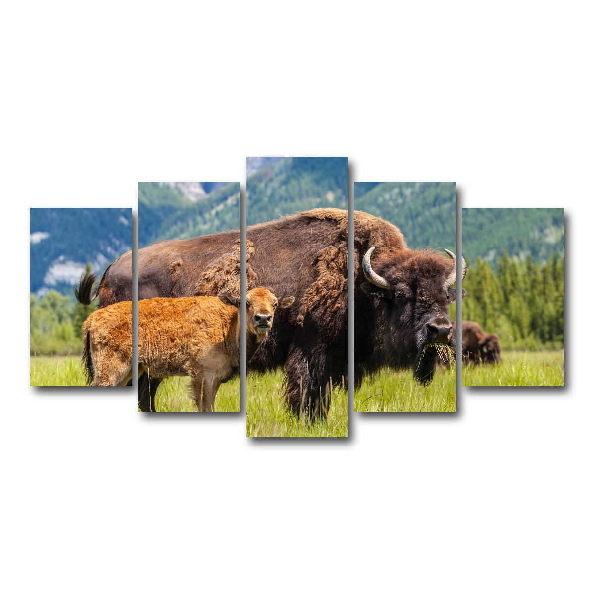 AUTO-MOCKUP WHITE | Buffalo with calf | 5 Piece | Gallery Wrap Canvas | group=5_normal
