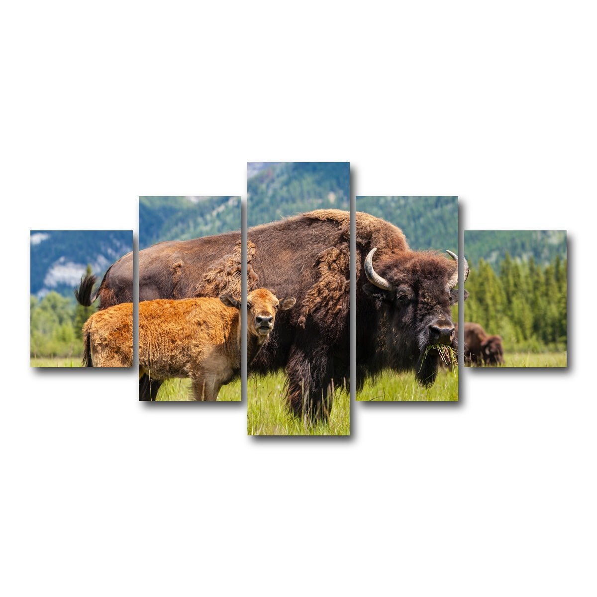 AUTO-MOCKUP WHITE | Buffalo with calf | 5 Piece | Gallery Wrap Canvas | group=5_short