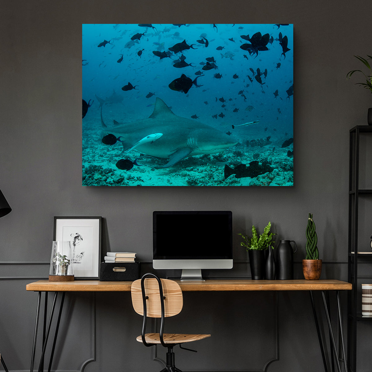 Bull Shark and Reef Fish Wall Art