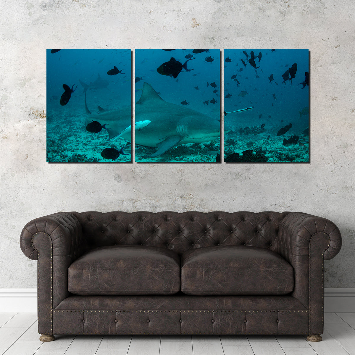 Bull Shark and Reef Fish Wall Art