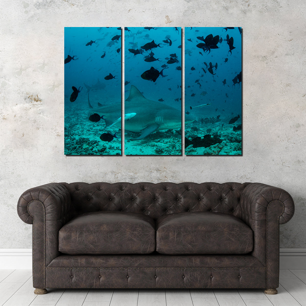 Bull Shark and Reef Fish Wall Art