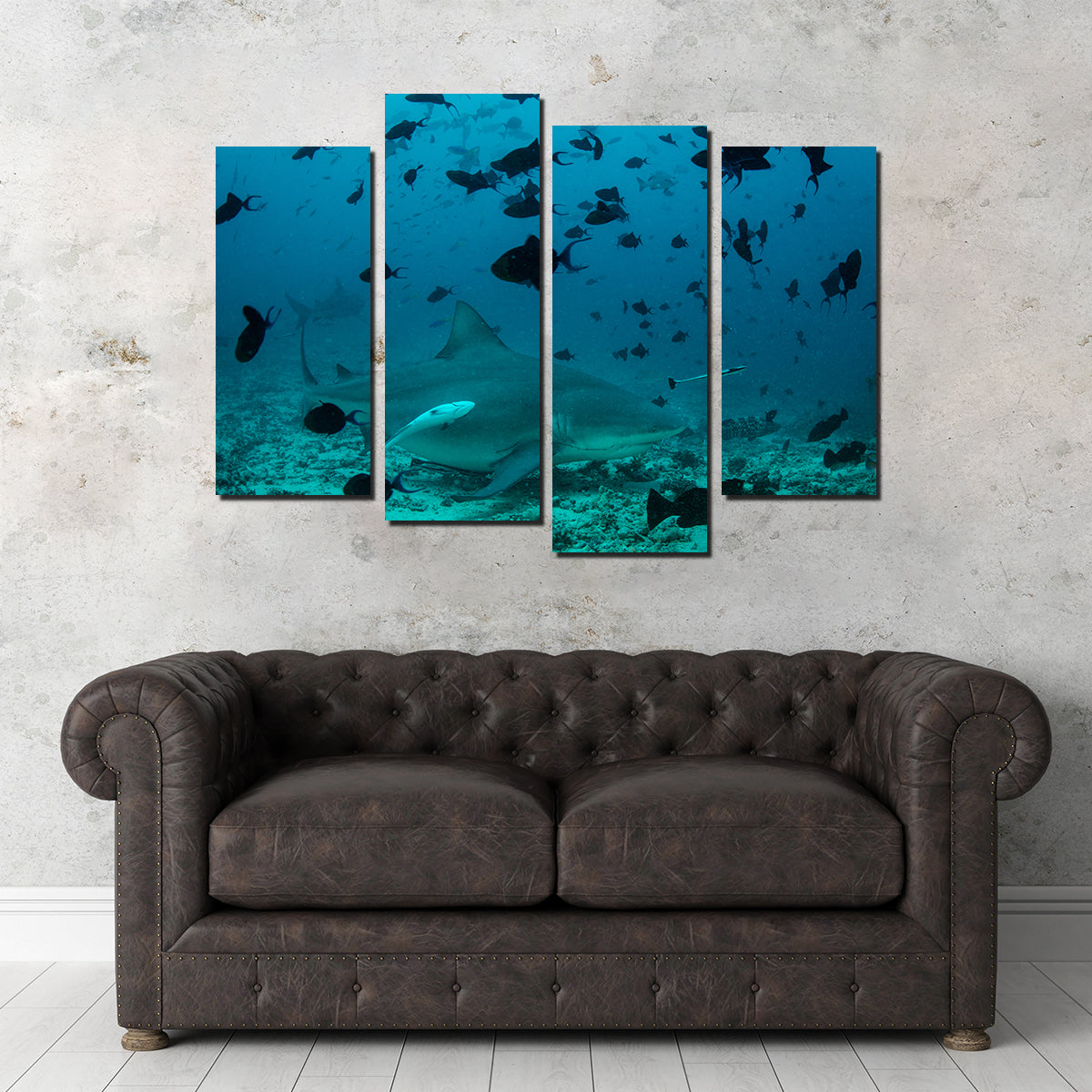 Bull Shark and Reef Fish Wall Art