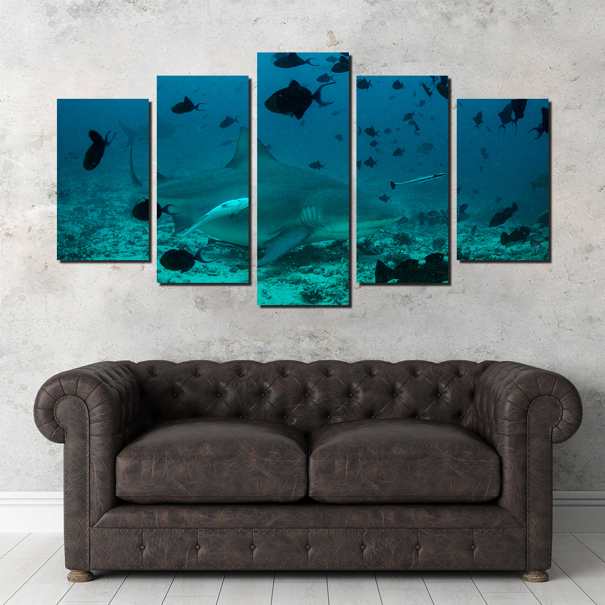 Bull Shark and Reef Fish Wall Art