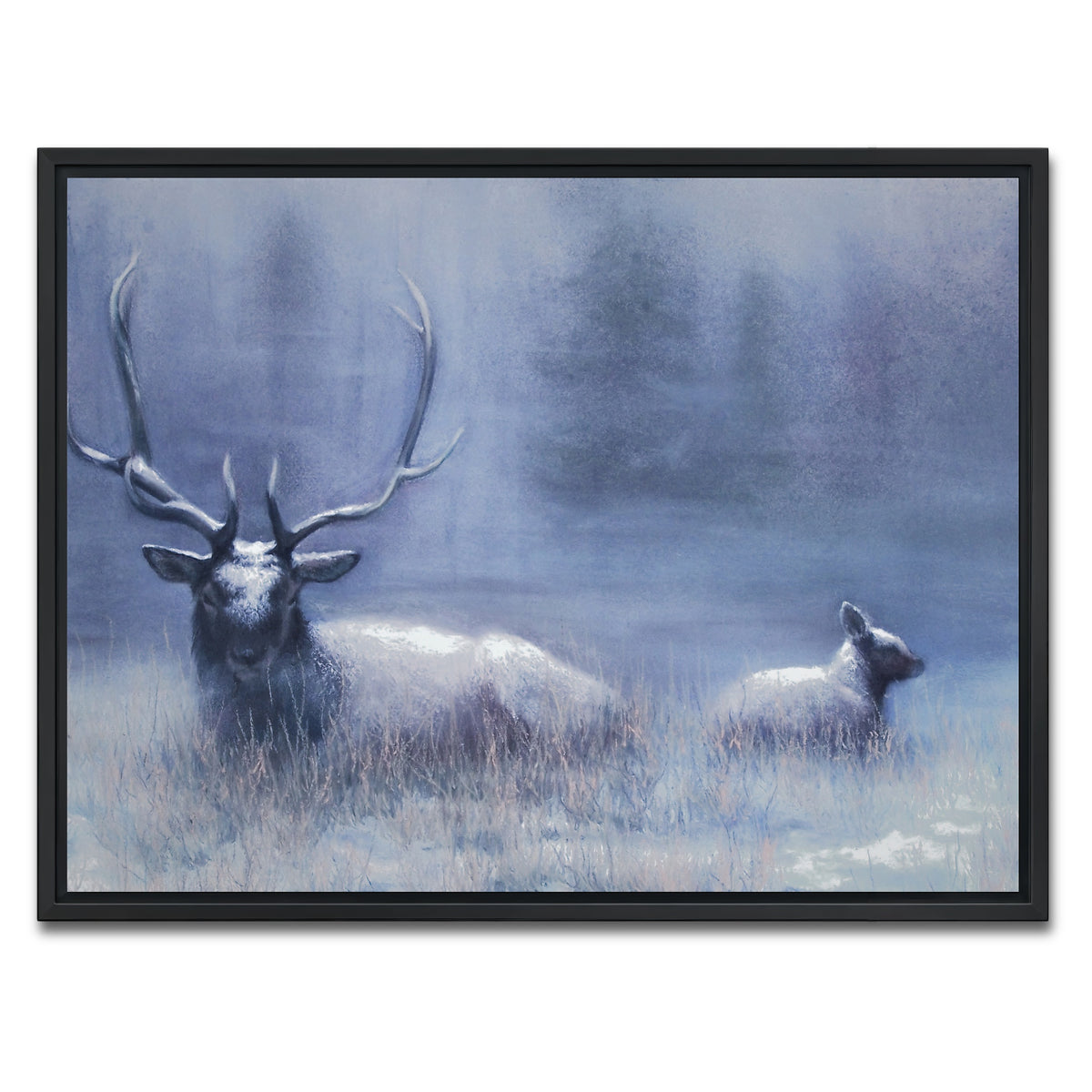 AUTO-MOCKUP WHITE | Bull Elk & Calf Blue | 1 Piece | Black Framed Canvas | group=4x3
